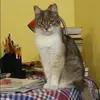 Отзыв от Валентина Ситникова